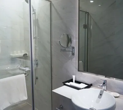 Custom shower doors and mirror installed in homes bathroom.